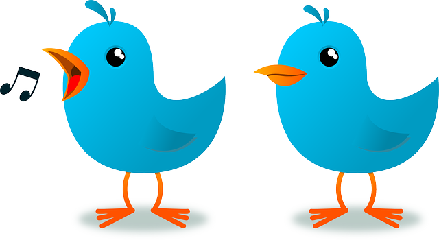 How To Attract Potential Customers Using Twitter