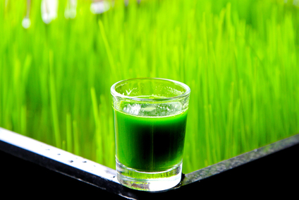 5 Easy Tips On How To Juice Wheat Grass
