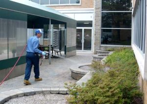 Professional Pest Control Company
