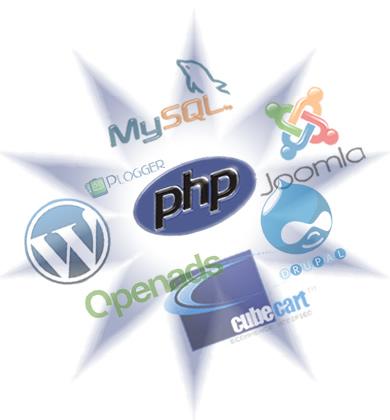 Overview of Programming Languages Used for Custom Web Development