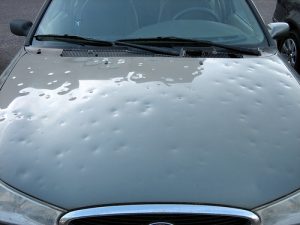 You’ve Got Hail (Damage): Now What?
