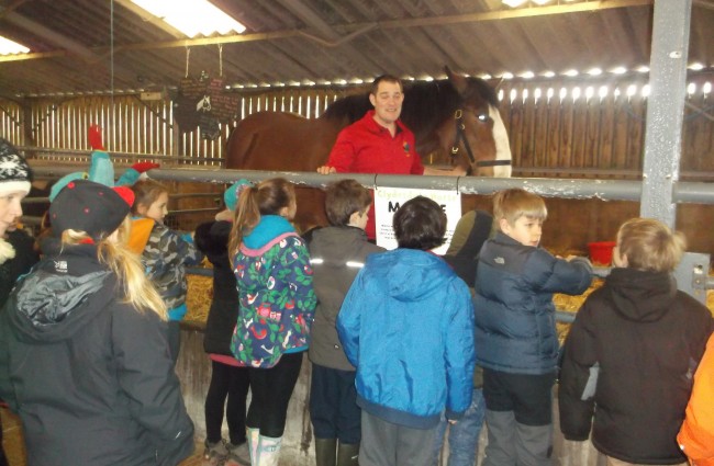 Top Reasons Farm Parks Make Great For School Trips