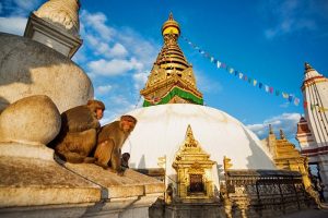 Monkeys of Swayambunath